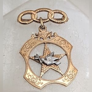 Vintage 10K Independent Order of the Oddfellows IOOF Rebekah Early Medal Pin